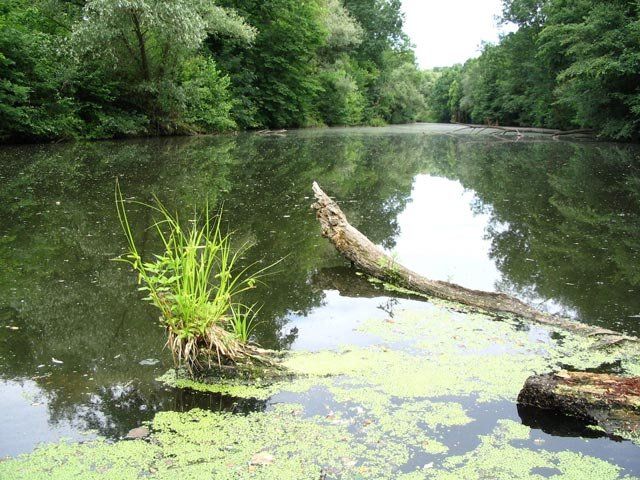 Tajemná Stará Dyje